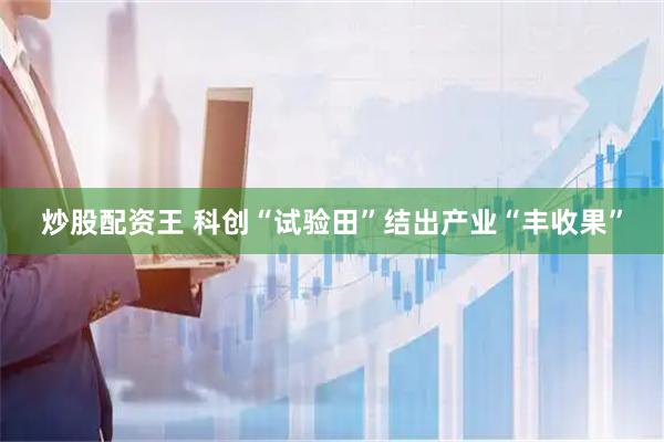 炒股配资王 科创“试验田”结出产业“丰收果”