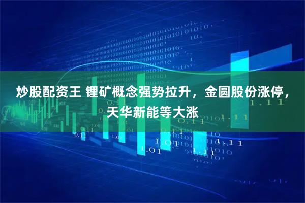 炒股配资王 锂矿概念强势拉升，金圆股份涨停，天华新能等大涨