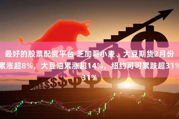最好的股票配资平台 芝加哥小麦、大豆期货2月份累涨超8%，大豆油累涨超14%，纽约可可累跌超31%