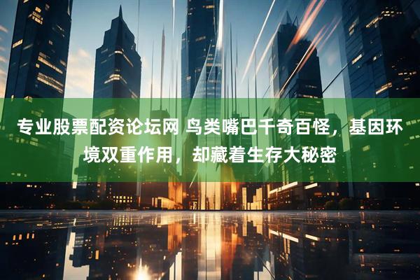 专业股票配资论坛网 鸟类嘴巴千奇百怪，基因环境双重作用，却藏着生存大秘密