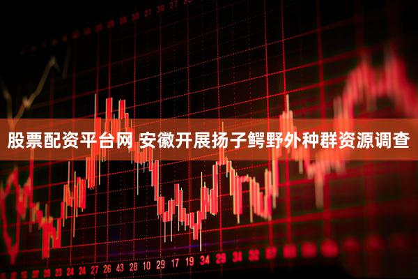 股票配资平台网 安徽开展扬子鳄野外种群资源调查