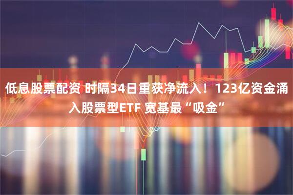 低息股票配资 时隔34日重获净流入!123亿资金涌入股票型ETF 宽基最“吸金”